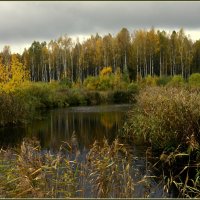 Прекрасная пора :: Aleksandr Gal