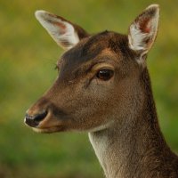 Модель 3 :: Роман Д