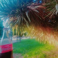 13  ОПЕН (299) :: OPEN WAYS ALL