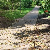 ,,,, :: Сергей Тимоновский