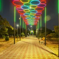 Аллея :: Анатолий Чикчирный