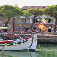 дельфины :: Светлана Баталий