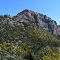 Природа Крыма :: Amazing Cosmea