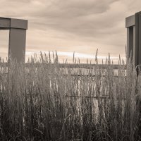 Тишина :: Наталья Сафронова