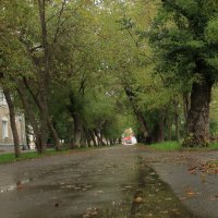 Сентябрь. Дождь. Осень. :: Александр Николаев
