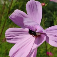 Ветер :: Валентина Богатко Ветер :: Валентина Богатко