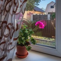 Я из окна смотрю на улицу почти, как в детстве... :: Александр Орлов