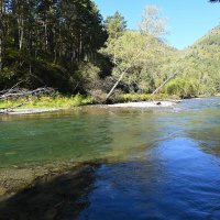 По р.Чемал :: Валерий Медведев По р.Чемал :: Валерий Медведев
