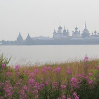 Утро на Соловках :: Наталья Лунева 