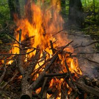 Когда солнце уже не греет :: Дмитрий Ряховский