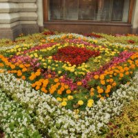 Цветочные композиции у ГУМа. :: Татьяна Помогалова