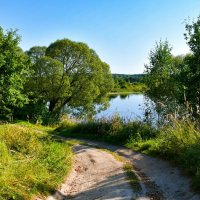 Дорога рыбаков по озёрному берегу (репортаж из поездки по области). :: Милешкин Владимир Алексеевич 
