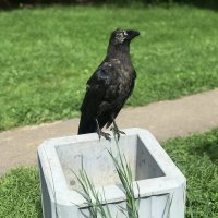 Неожиданная встреча. :: Любовь 