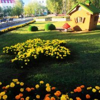 Бабье лето в сквере Победы! :: Владимир 