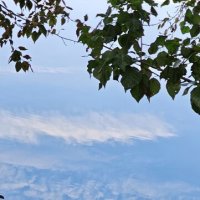 Отражение :: Наталия 