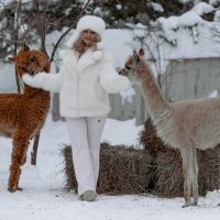 Уютное фото :: Евгения Вахнеева