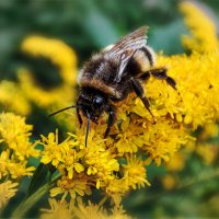 , :: AZ east3 , :: AZ east3