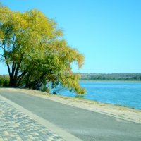 *** :: Андрей Л. В.