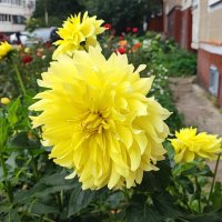 ,,, :: Сергей Тимоновский