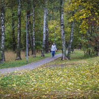 В лесопарке :: Владимир Кроливец