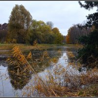 Осень наступила... :: Aleksandr Gal