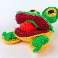 Лягуша :: Владимир VS