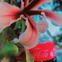 13  ОПЕН (301) :: OPEN WAYS ALL