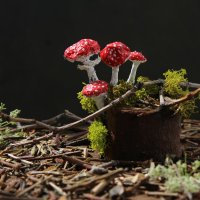 Встреча в лесу. :: Нина Сироткина 