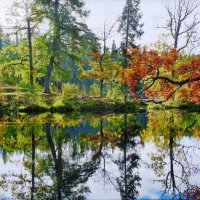 Карелия :: Наталья 