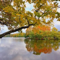 Пышное природы увяданье :: Хватова Марина 