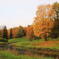 Оранжевое настроение :: Хватова Марина 