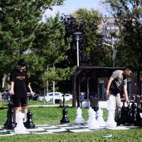 Шахматная композиция. :: Василий Палий