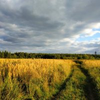 Бабье лето как оно есть :: Андрей Лукьянов