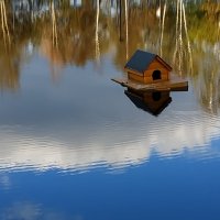 Бабье лето как оно есть :: Андрей Лукьянов