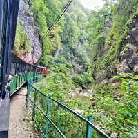 ГУАМСКОЕ УЩЕЛЬЕ :: Tata Wolf