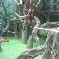 Из жизни зоопарка :: Сергей Б.