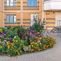 Палисадник у многоэтажки :: Валерий Иванович Палисадник у многоэтажки :: Валерий Иванович