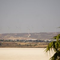 Кипр. Ларнака :: Андрей 