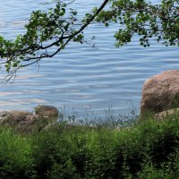 Берег залива у поселка Манола :: Александр Ильчевский 