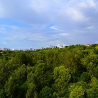 Чебоксары. Лес Трусихинского оврага летом (вид с Гагаринского моста). :: Пётр Чернега