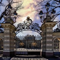 Уголки Петербурга :: Евгений 