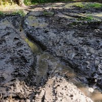 Есть в осени первоначальной, короткая, но дивная пора.... :: Владимир Есть в осени первоначальной, короткая, но дивная пора.... :: Владимир