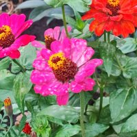 ,,, :: Сергей Тимоновский