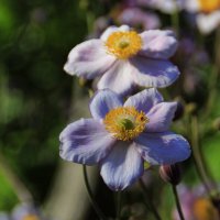 Теплый сентябрь .. :: Татьян@ Ивановна