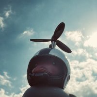 The Black Duck :: Анна Камс