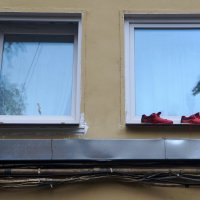 профилактическое проветривание :: zavitok *