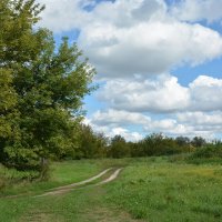 А дорога серою лентою вьётся... :: Леонид Иванчук