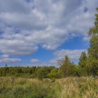 В поле... :: Владимир Жданов