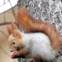 Я живу в городе :: Валерий 