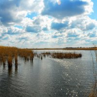 Весна. :: Владимир 